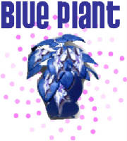 blueplantsite.jpg